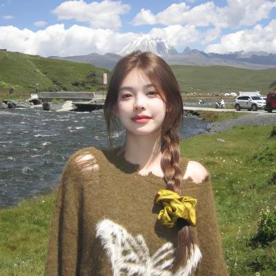 贤妻2013